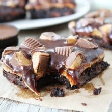 Peanut butter brownies with chocolate ready to serve