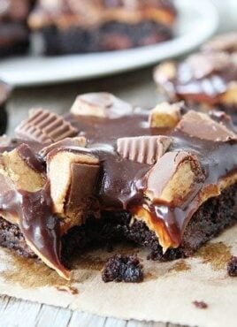 Peanut butter brownies with chocolate ready to serve