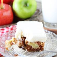 Fresh apple cake made from easy apple cake recipe