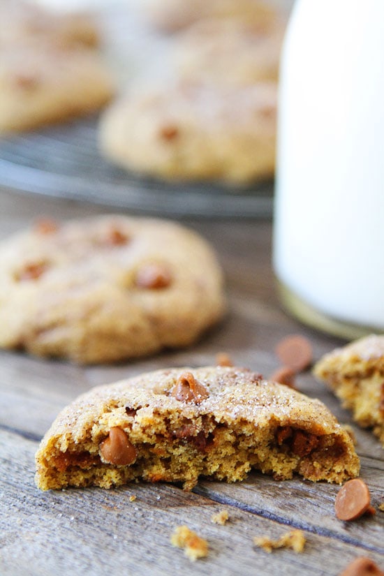 Pumpkin Cinnamon Cookies-the best pumpkin cookie recipe!