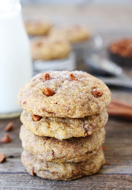 Pumpkin Cookies with cinnamon chips and rolled in cinnamon and sugar. The best fall cookie recipe.