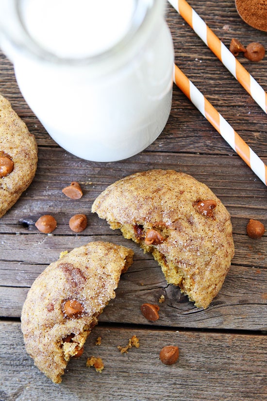 Soft Pumpkin Cinnamon Cookies with Cinnamon Chips-the best fall cookie recipe