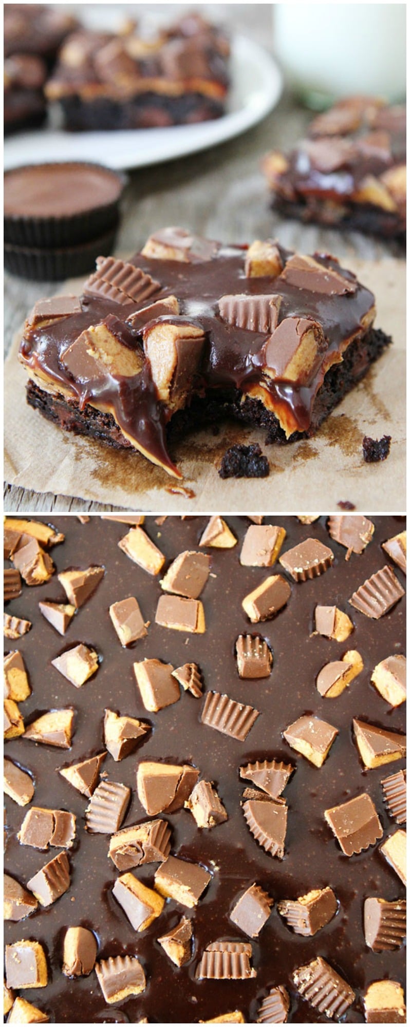 Chocolate and Peanut Butter Lover's Brownies on twopeasandtheirpod.com Fudgy brownies with peanut butter, chocolate ganache, and peanut butter cups! The BEST brownies you will ever eat!