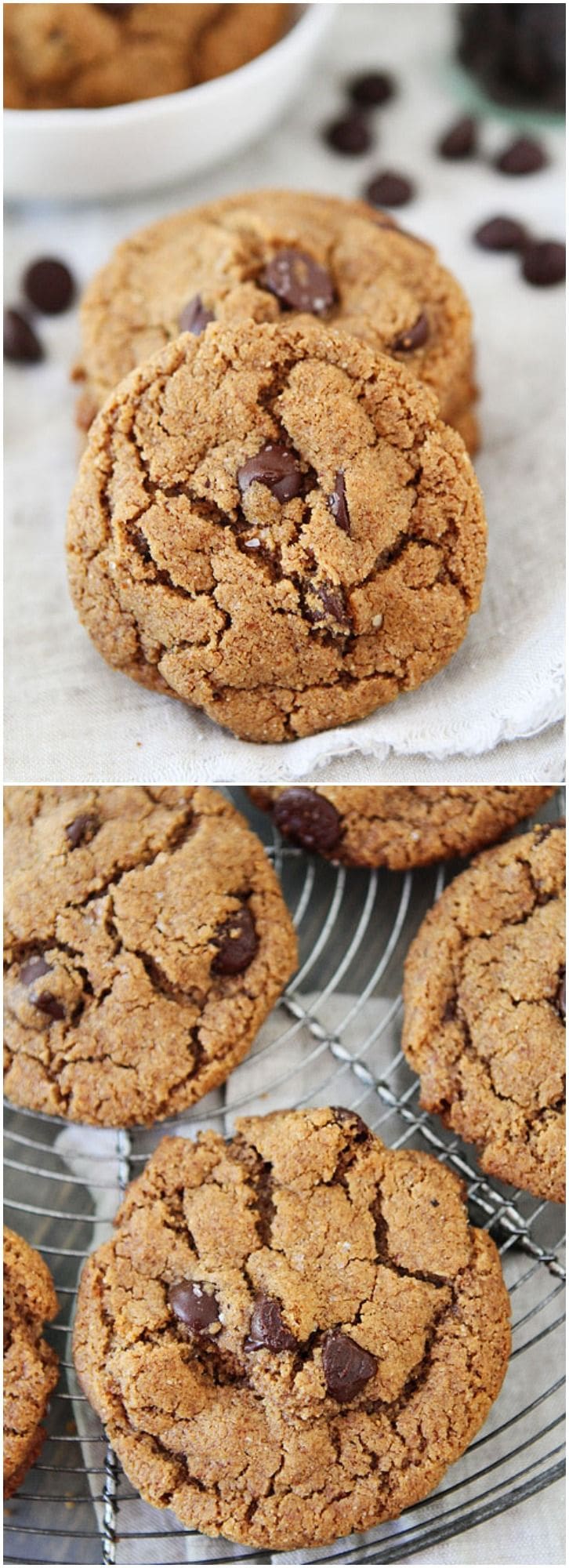 Flourless Almond Butter Chocolate Chip Cookies on twopeasandtheirpod.com These gluten-free cookies are amazing! Easy to make too!