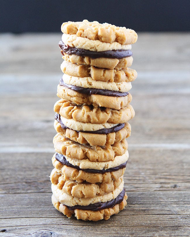 Flourless Peanut Butter Chocolate Ganache Sandwich Cookies Recipe