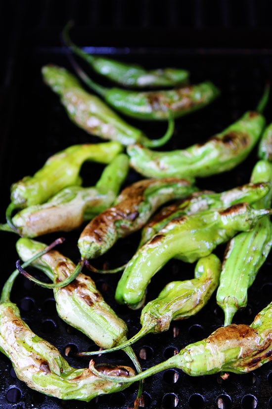 Grilled Shishito Peppers Recipe