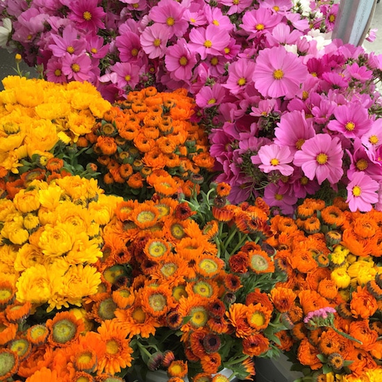 flowers-ferry-building