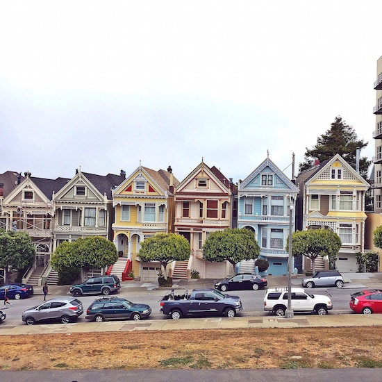 painted-ladies