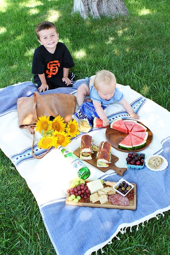 Summer Picnic Recipes and Tips