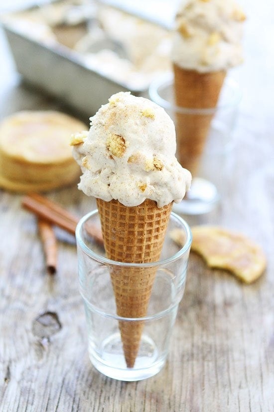 https://www.twopeasandtheirpod.com/wp-content/uploads/2015/07/No-Churn-Cinnamon-Snickerdoodle-Ice-Cream-4.jpg