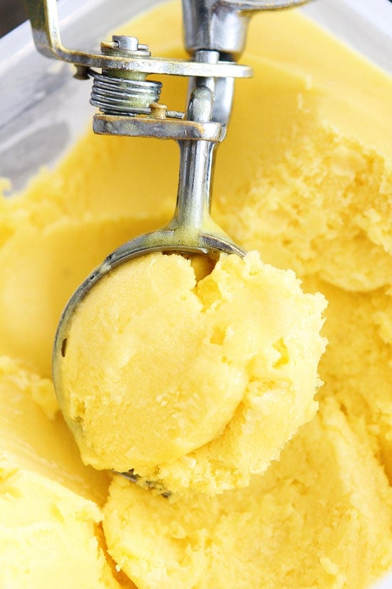 Pineapple Mango Sorbet Recipe 