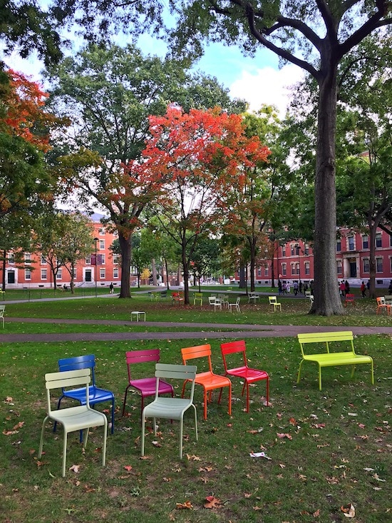 harvard-square