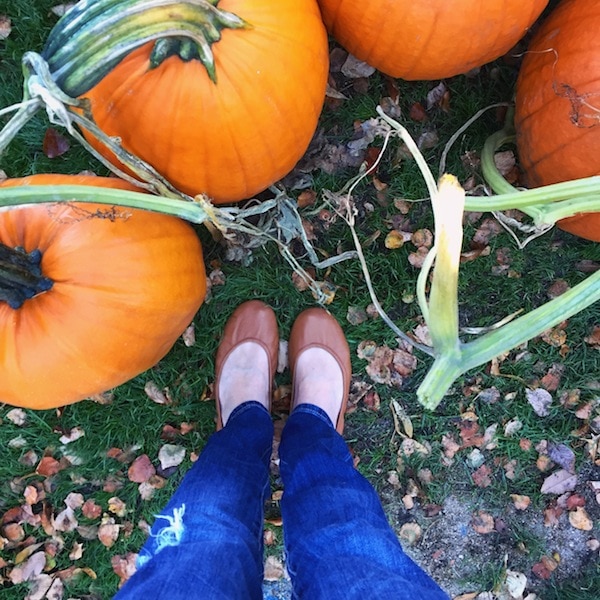 tieks-pumpkins