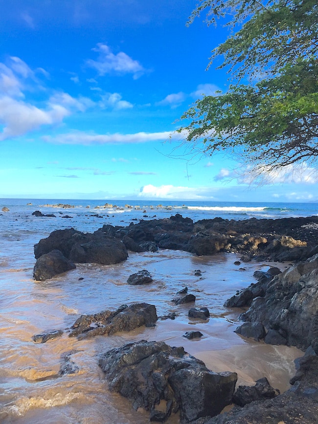 Family Vacation to Maui