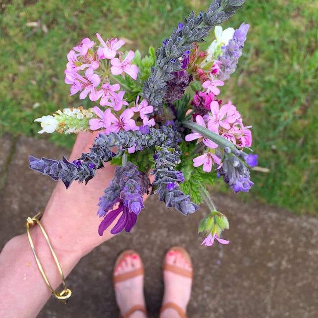 Maui Lavender Farm 