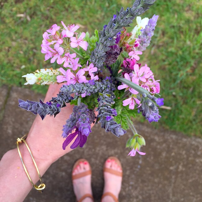 Maui Lavender Farm 