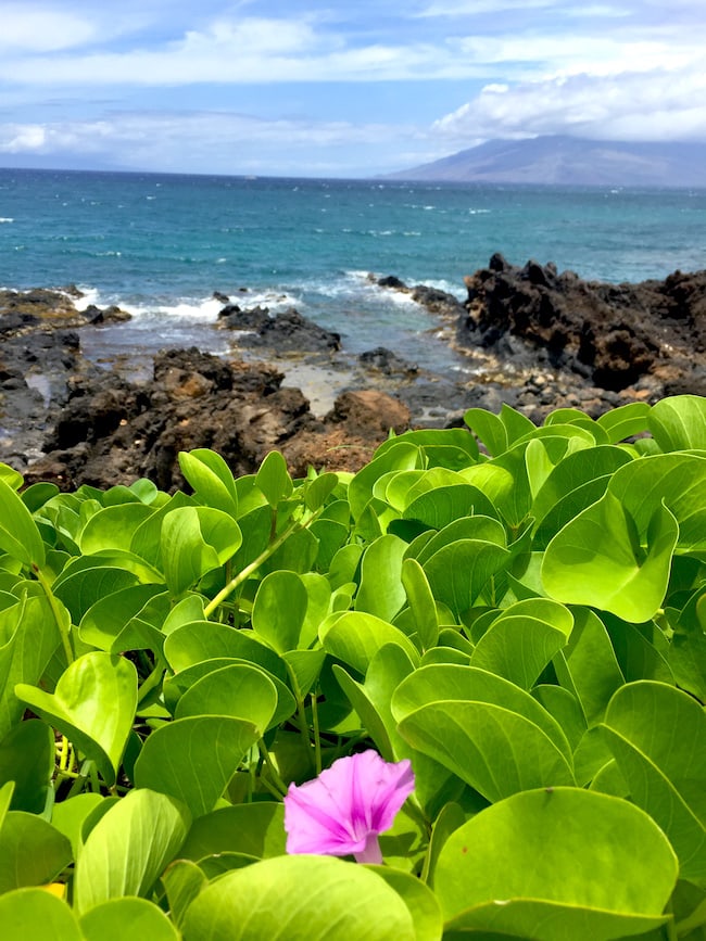 Maui, Hawaii