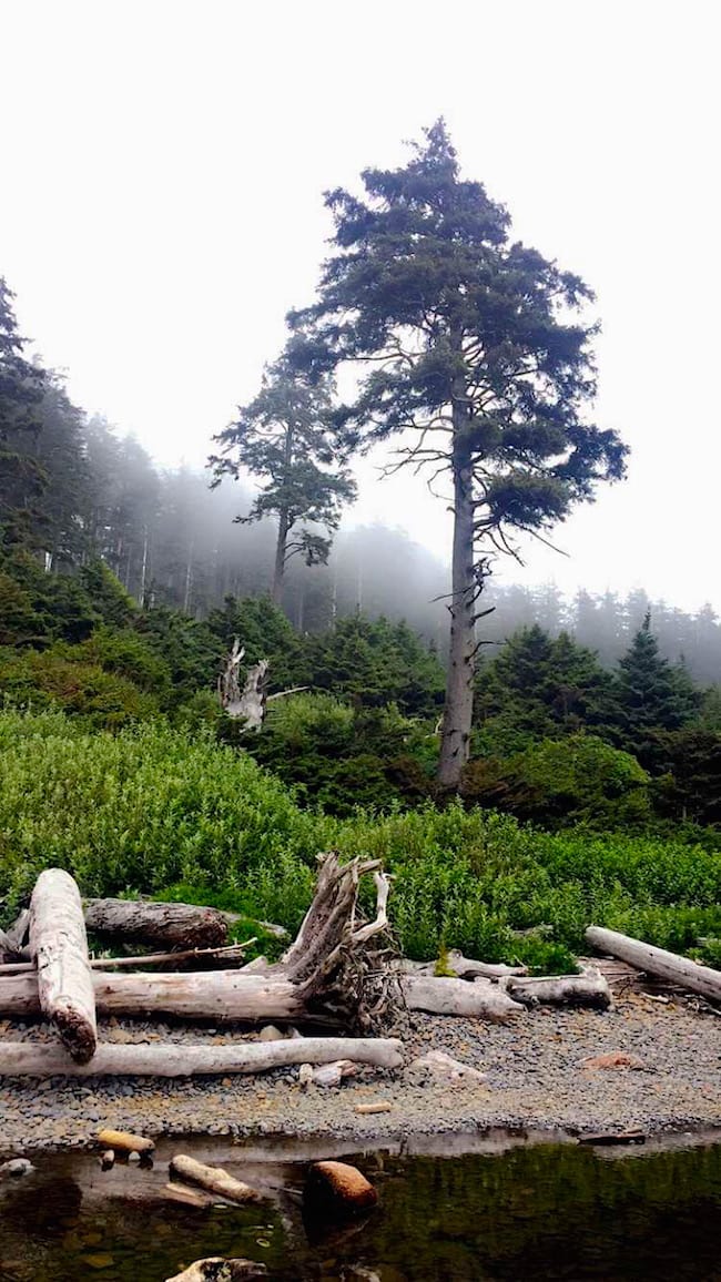 Cannon-Beach-19