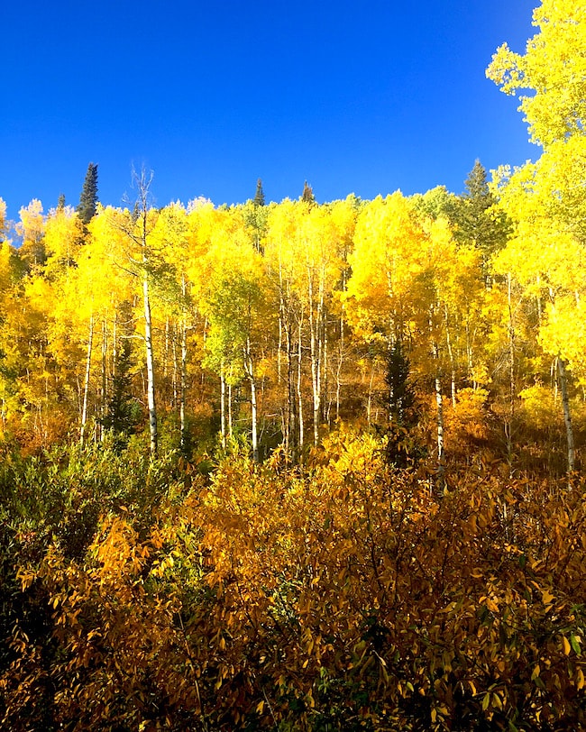 fall-utah