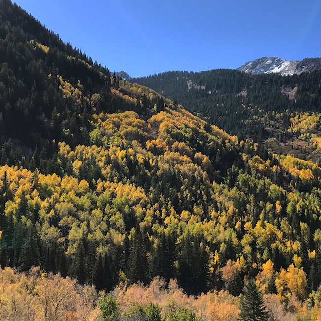 utah-fall