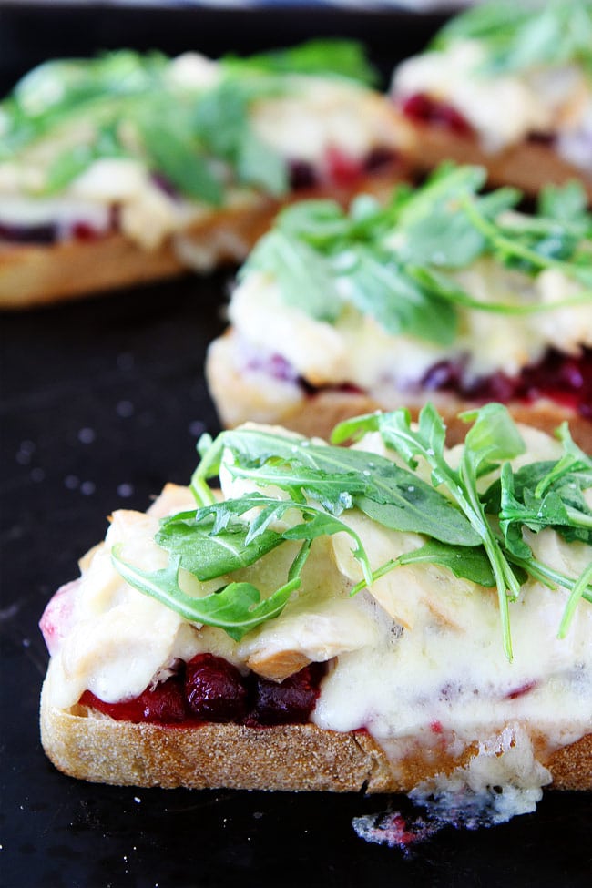 Leftover Turkey Cranberry Melts Recipe