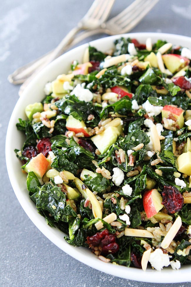 Kale and Wild Rice Salad Recipe on twopeasandtheirpod.com Kale salad with wild rice, apples, avocado, dried cranberries, goat cheese, and almonds. You will love this healthy and hearty salad recipe! Kale and Wild Rice Salad Recipe