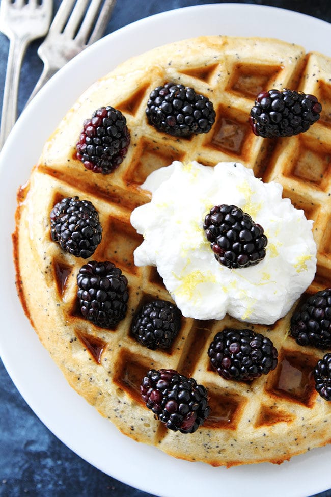 Lemon Poppy Seed Waffles with lemon whipped cream and fresh blackberries are a family favorite breakfast!