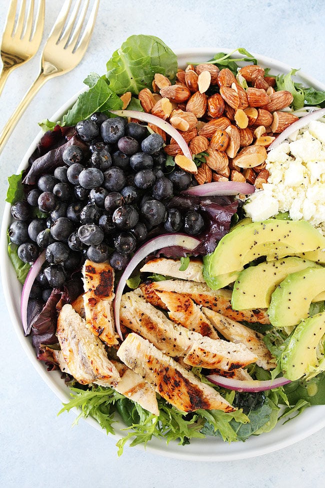 Grilled Chicken Salad with blueberries, avocado, almonds, red onion, feta cheese with lemon poppy seed dressing in bowl. 
