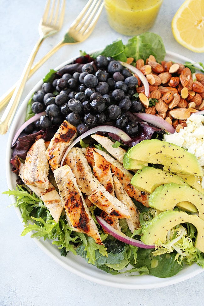 Grilled Chicken Salad with blueberries, avocado, almonds, red onion, feta, and a simple lemon poppy seed dressing in bowl with gold forks. 