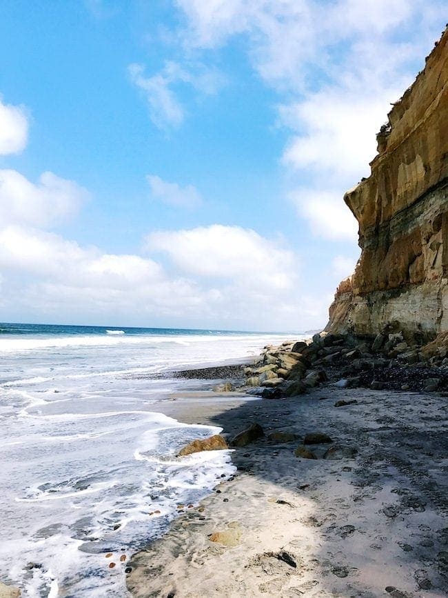 San Diego Torrey Pines Trail 