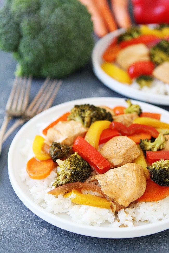 Asian Chicken and Vegetable Foil Packets taste just like stir fry, but are made on the grill! A quick and easy dinner!