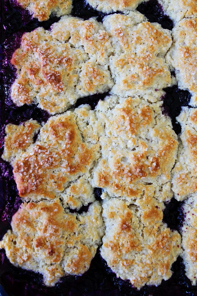 Blueberry Cobbler with biscuit topping.