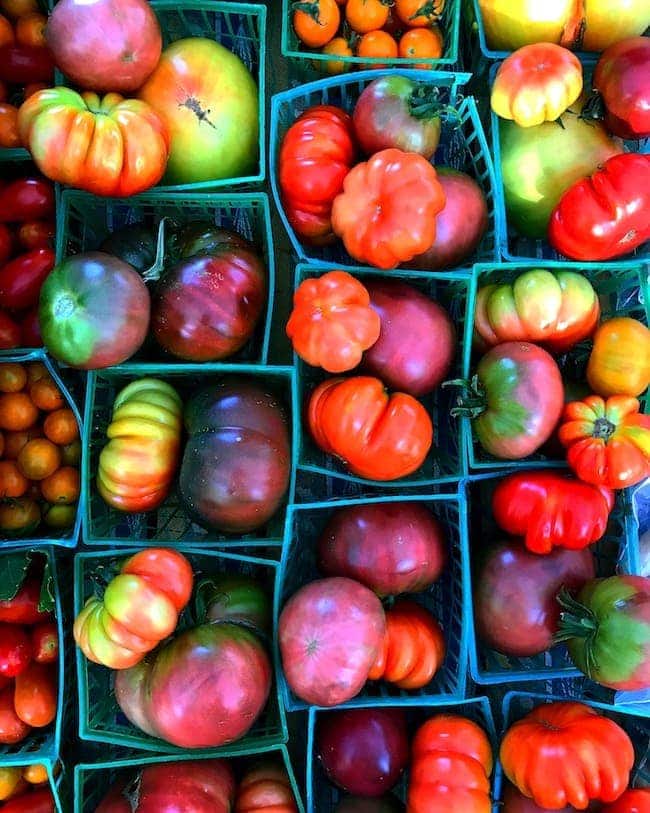 Best Tomato Recipes for End of Summer Tomatoes 