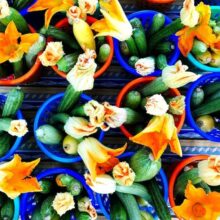 Spinach Parmesan Zucchini Noodles Spinach Parmesan Zucchini Noodles