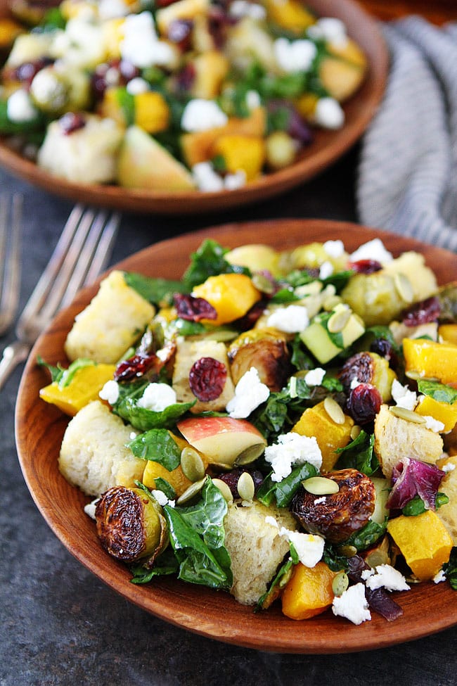 Fall Panzanella Salad-this easy bread salad is a great side dish for fall and Thanksgiving! #salad #Thanksgiving #vegetarian