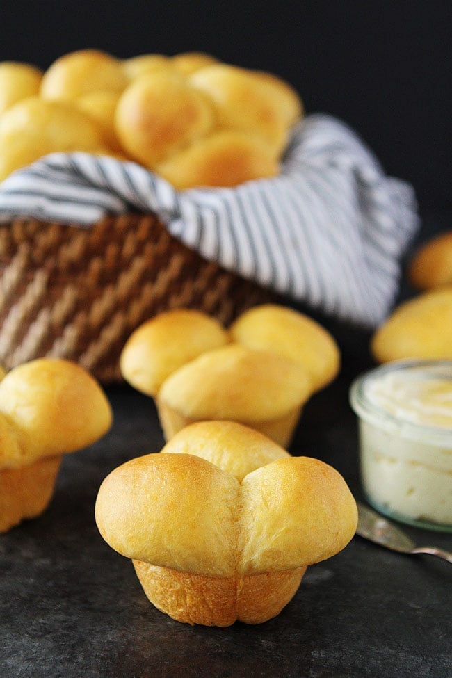 Sweet Potato Rolls-soft and fluffy sweet potato yeast rolls are the perfect side dish for Thanksgiving or any meal. #rolls #sweetpotatoes #Thanksgiving 