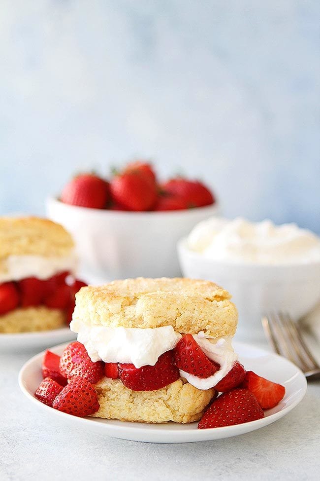 homemade strawberry shortcake biscuit with whipped cream and strawberries on plate. 