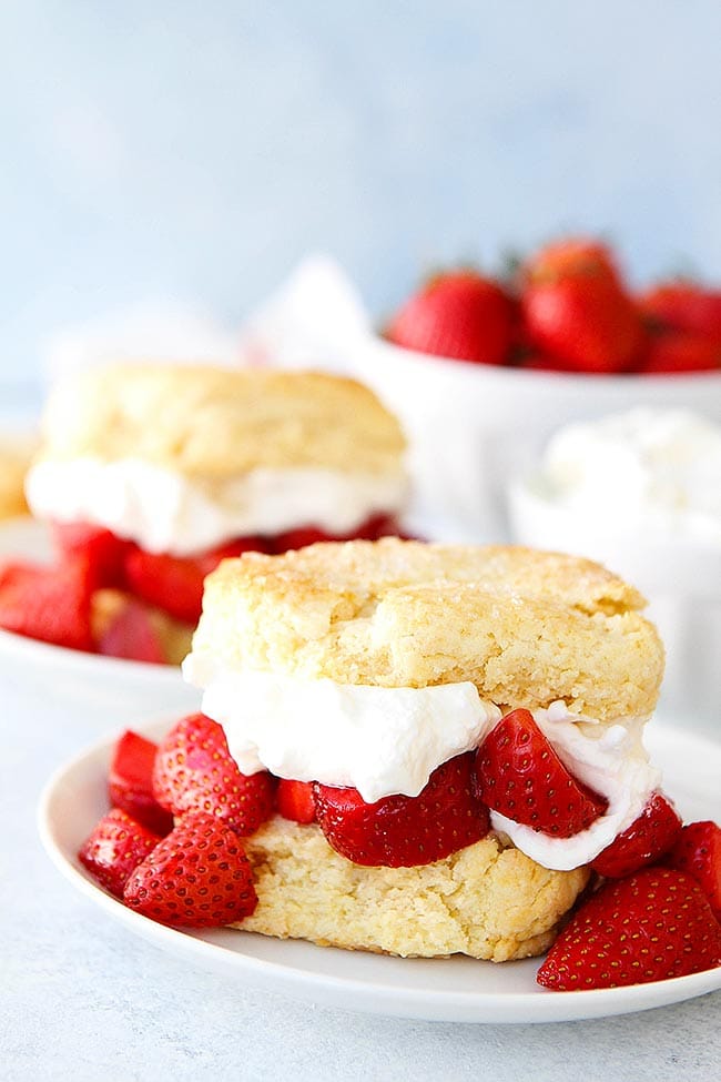 You will LOVE this easy Strawberry Shortcake Recipe! It is the BEST! #strawberry #strawberryshortcake #dessert #easyrecipe #spring #whippedcream close up of strawberry shortcake dessert on plate.
