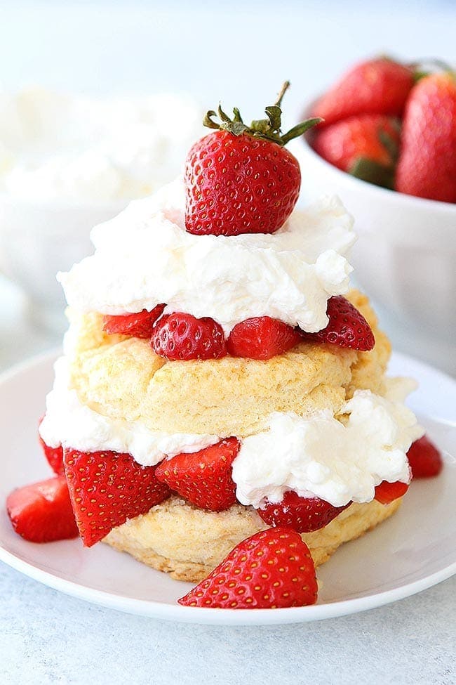 Strawberry Shortcake on plate with whipped cream and strawberries. 