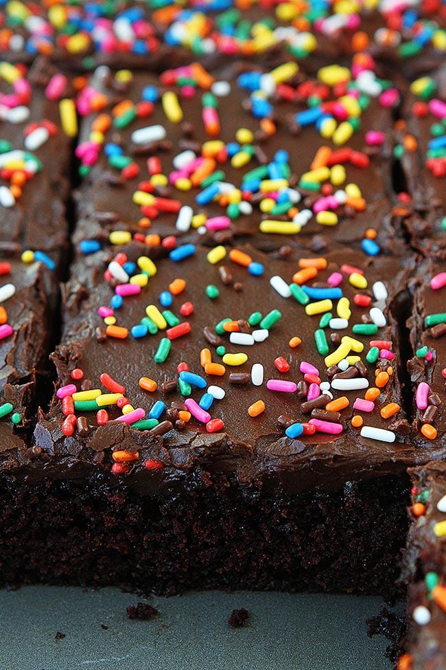 Best Chocolate Cake Recipe in sheet pan