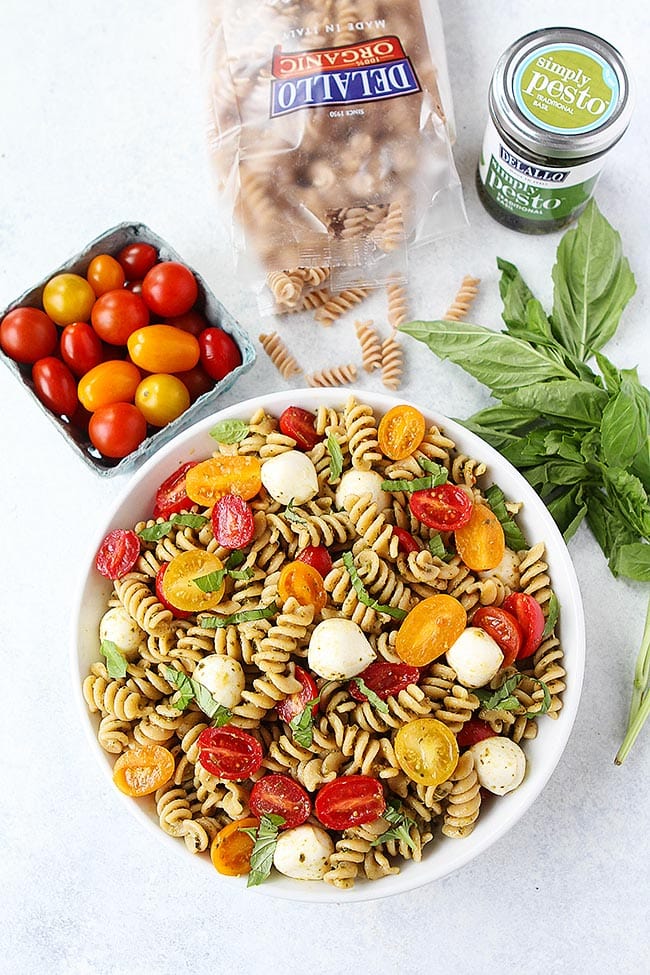Pesto Pasta Salad Recipe 