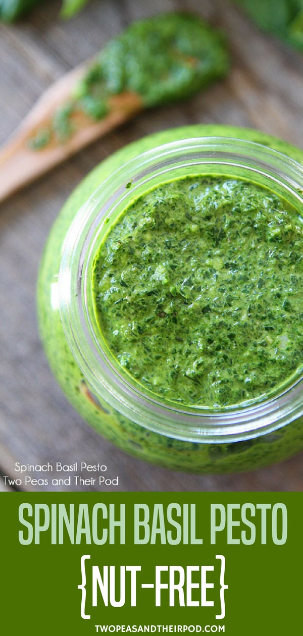 Spinach Basil Pesto - A great flavor booster, we keep a jar of this Basil Pesto in our fridge at all times. Learn how to make pesto in 5 minutes! Basil Pesto goes well with just about everything - pasta, salads, vegetables, chicken, fish, potatoes, soups, pasta, even sandwiches. Visit twopeasandtheirpod.com for more simple, fresh, and family friendly meals. #familyfreshmeals #familyfriendlymeals