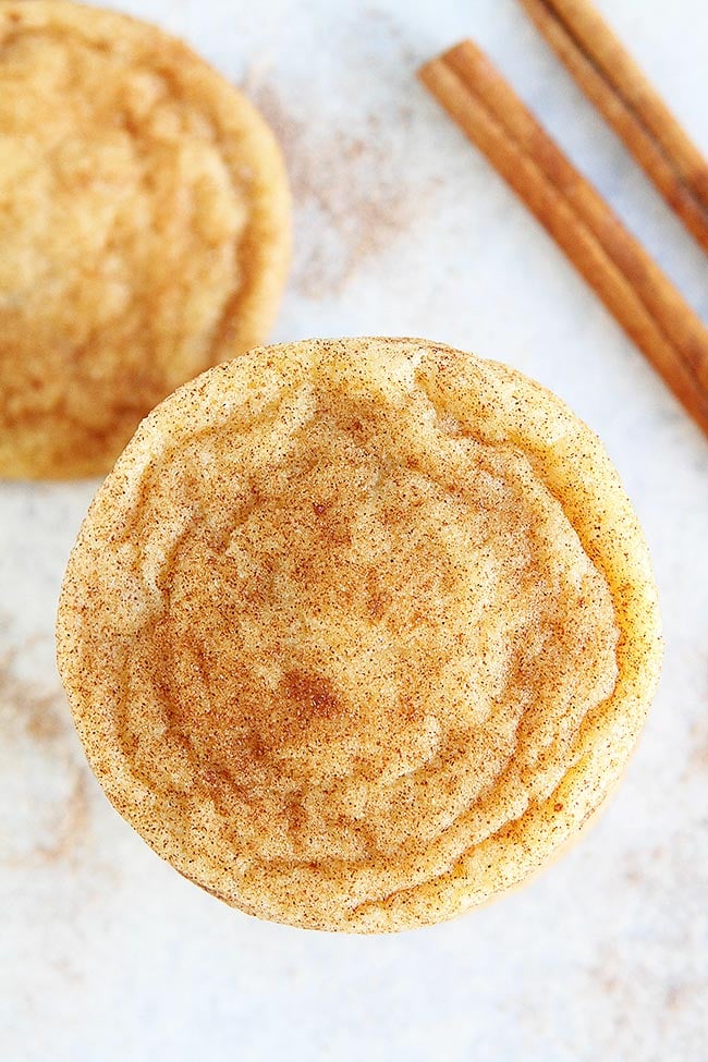 Classic Snickerdoodle Cookies