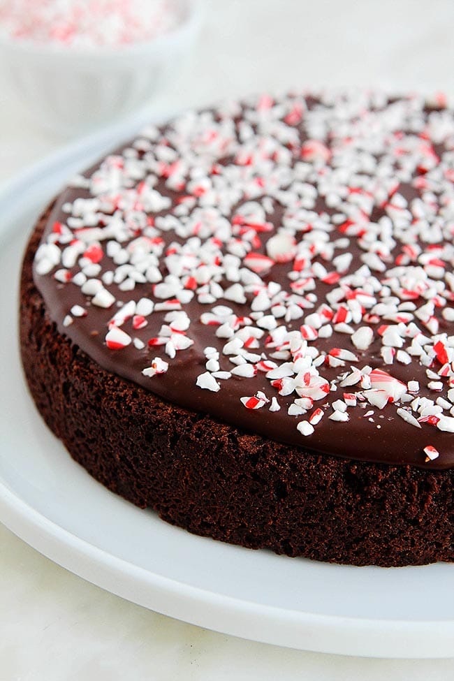 Peppermint Flourless Chocolate Cake Recipe