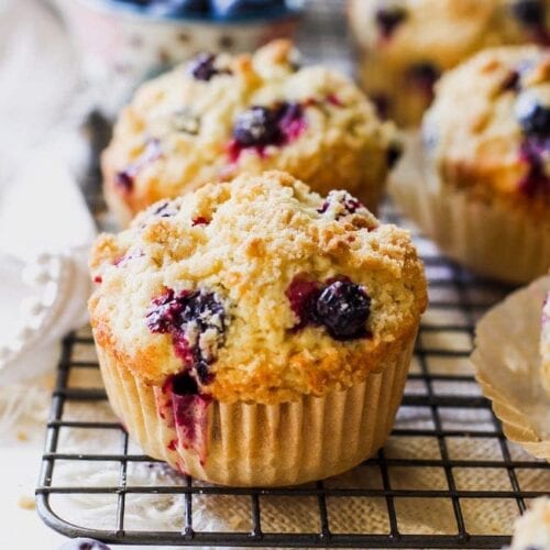 Best Blueberry Muffins Best Blueberry Muffins