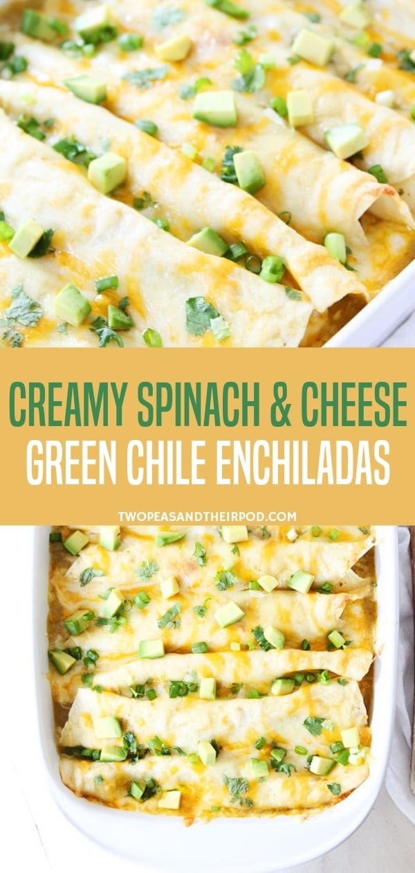Time and energy saving enchilada suited for your busy and hectic nights! This enchilada recipe with cheese, green chili, and creamy spinach is so good, plus it can be a freezer meal. It goes deliciously with avocado and cilantro as a healthy vegan meal for dinners!