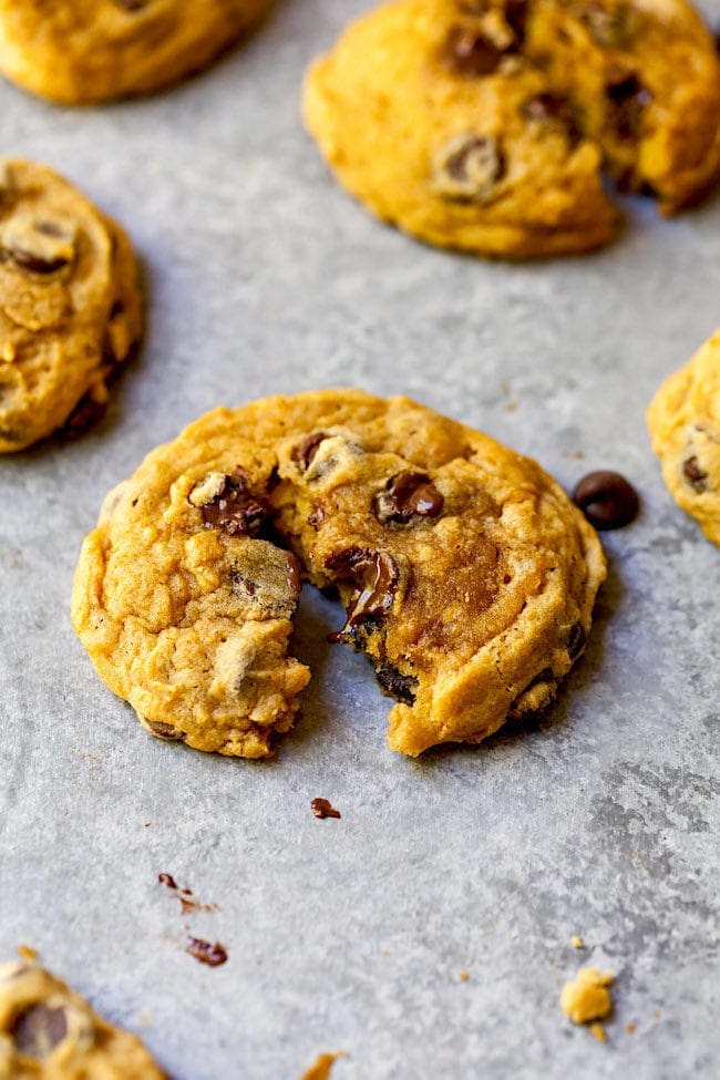 Pumpkin Chocolate Chip Cookie Recipe