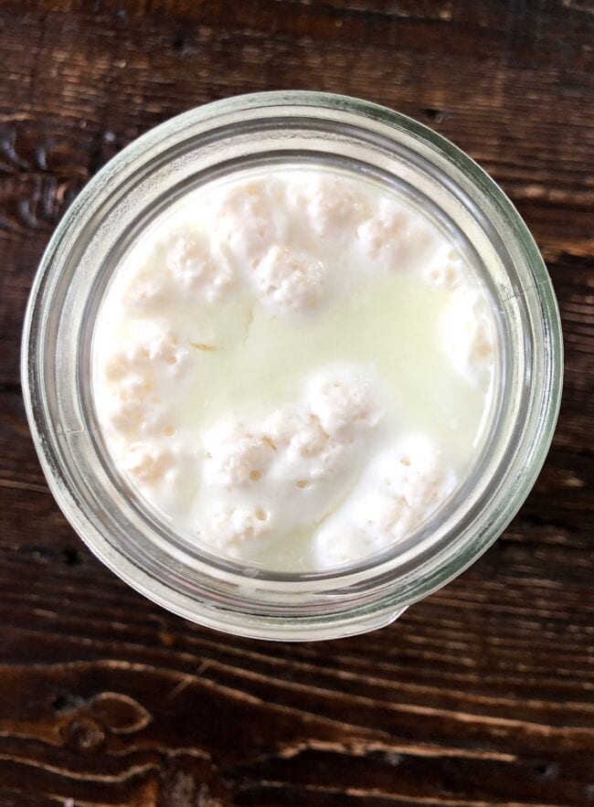 How to Make Milk Kefir - Aberle Home