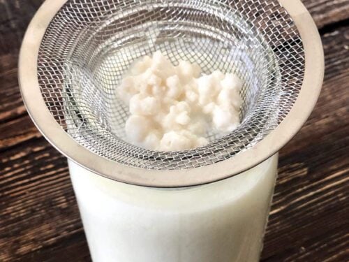 Milk Kefir FAQ Frequently Asked Questions - What is Milk Kefir?