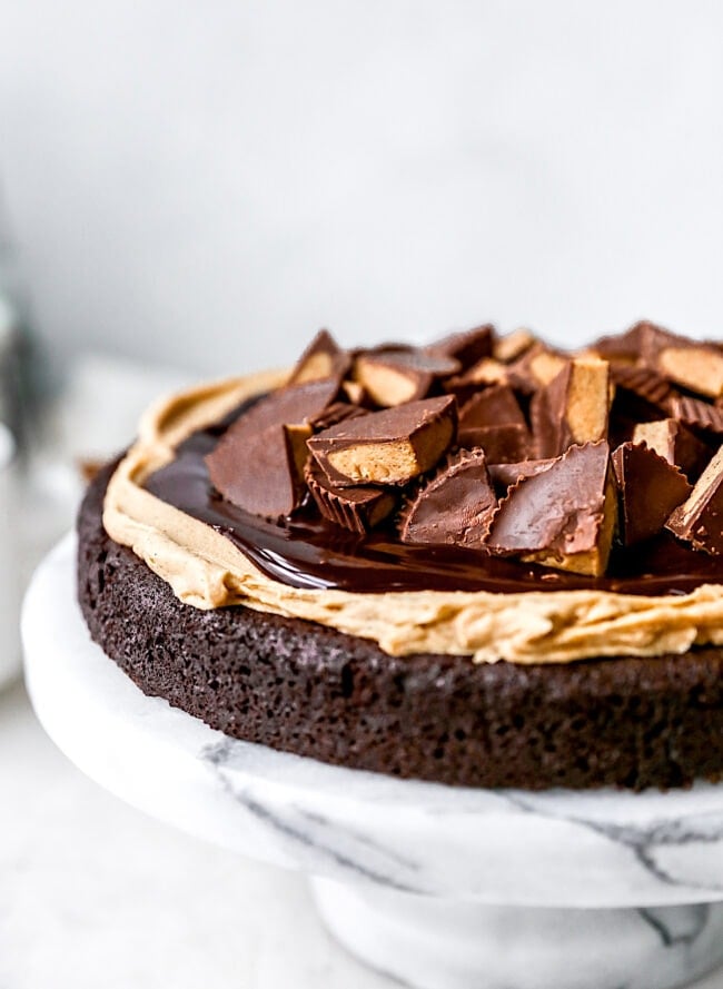 Gluten Free Peanut Butter Flourless Chocolate Cake